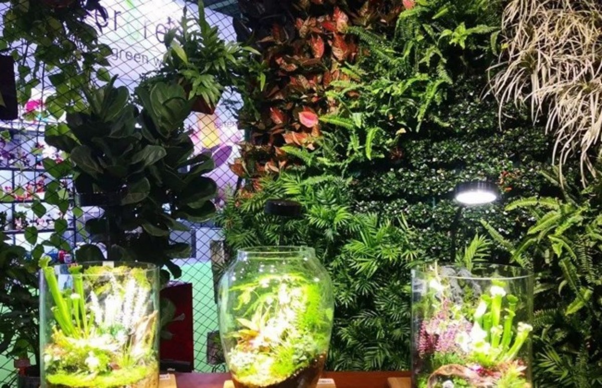 613b07eb603ff.jpg 613b07eb603ff.jpg